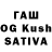 Cannafood конопля Silvane Junia